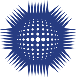 NEBOSH Logo